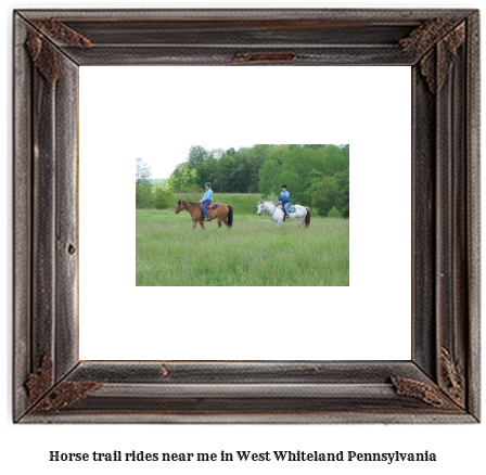 horse trail rides near me in West Whiteland, Pennsylvania